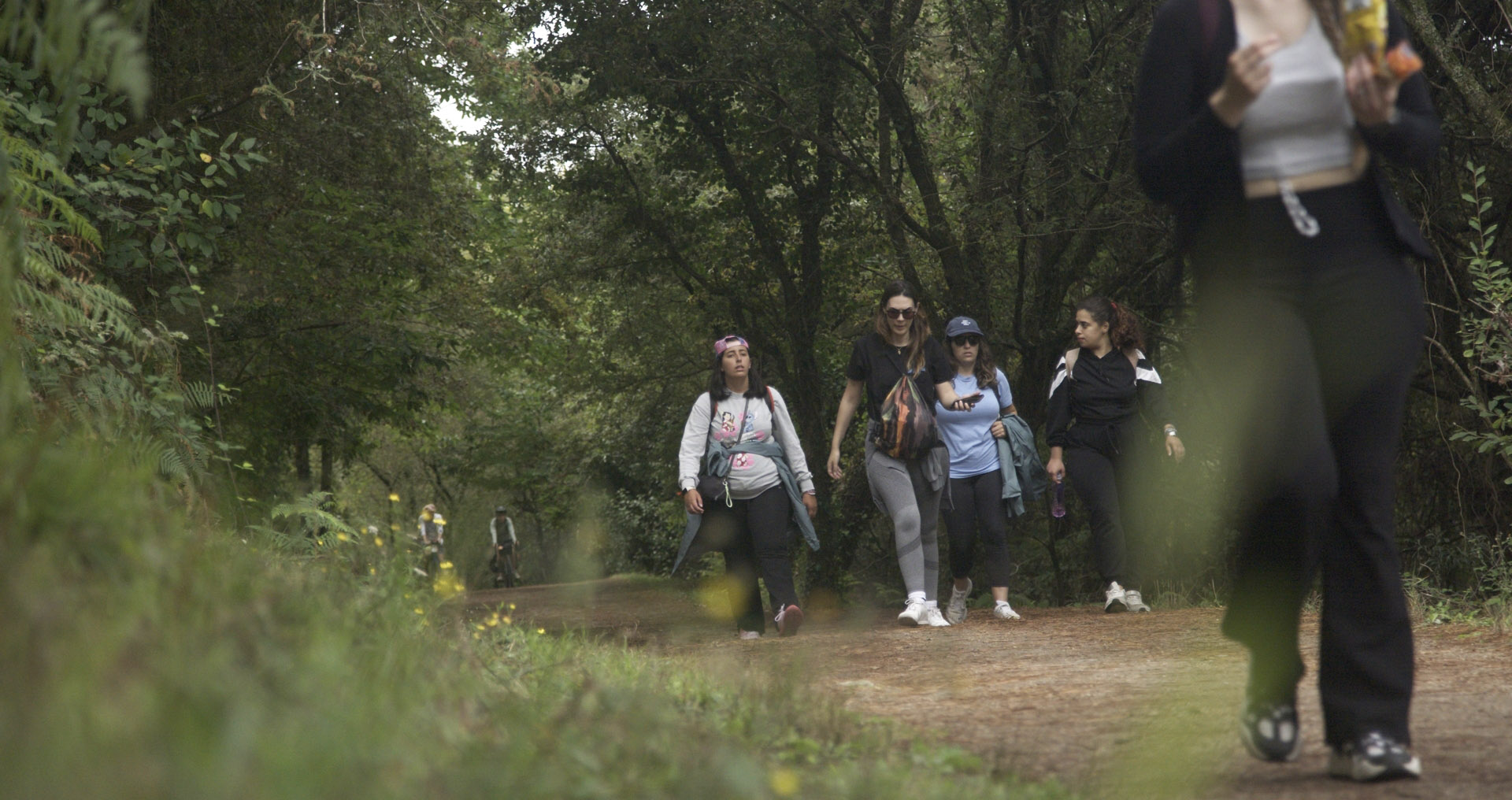 Camino_6